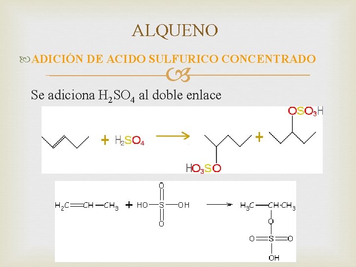 ALQUENO ADICIÓN DE ACIDO SULFURICO CONCENTRADO Se adiciona H 2 SO 4 al doble