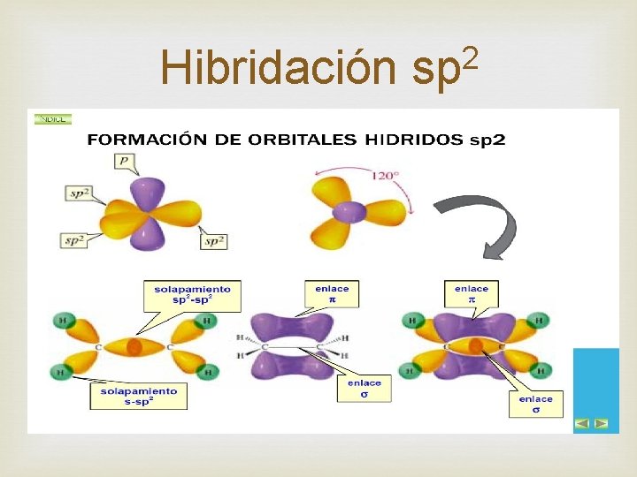 Hibridación 2 sp 