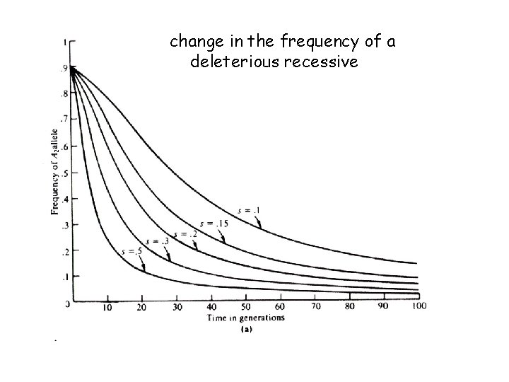 2 change in the frequency of a deleterious recessive 