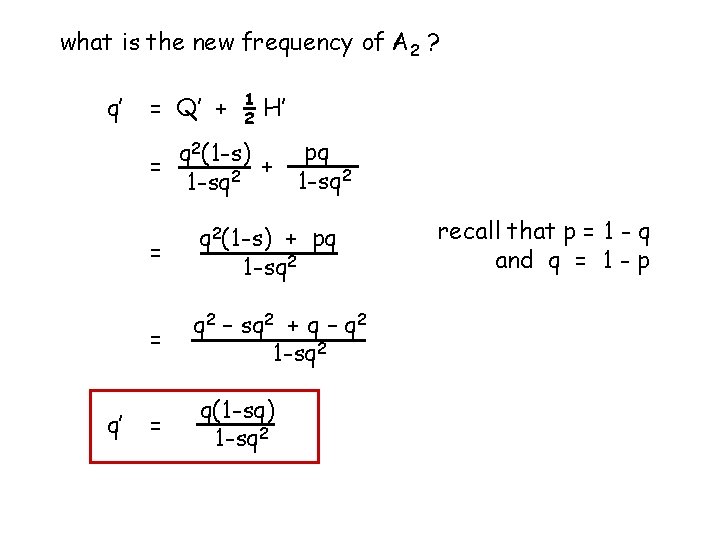 what is the new frequency of A 2 ? q’ = Q’ + 1