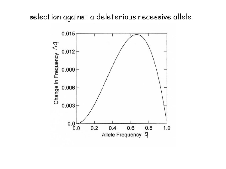Dq selection against a deleterious recessive allele q 