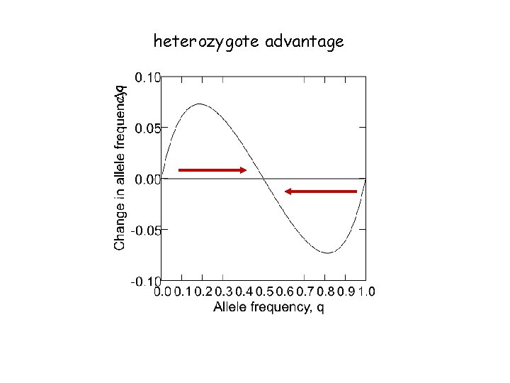 Dq heterozygote advantage 