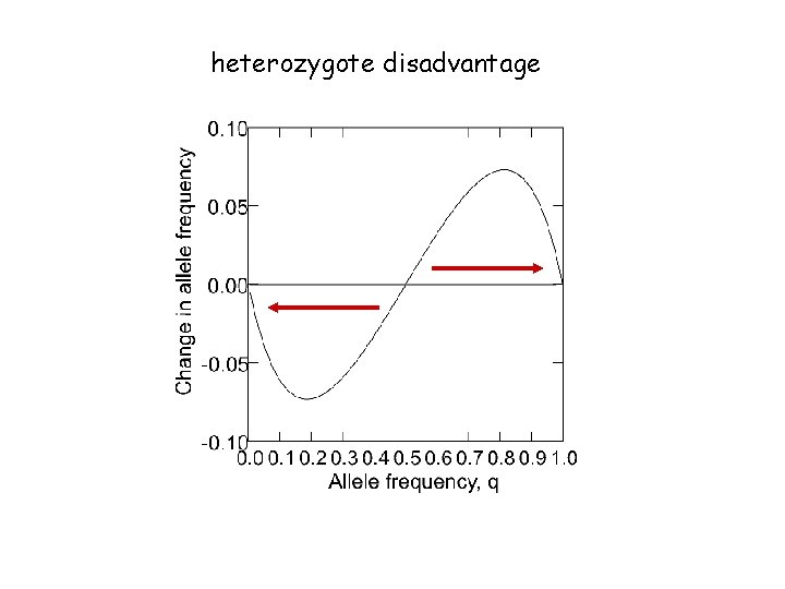 heterozygote disadvantage 