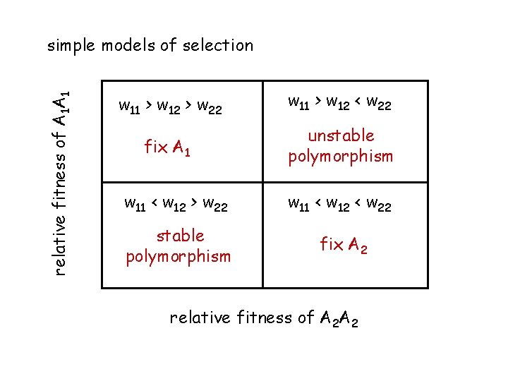 relative fitness of A 1 A 1 simple models of selection w 11 >