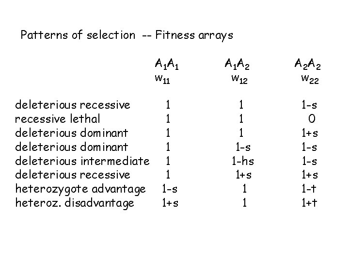 Patterns of selection -- Fitness arrays A 1 A 1 w 11 deleterious recessive