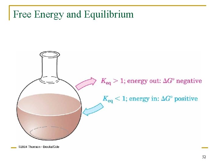 Free Energy and Equilibrium 52 