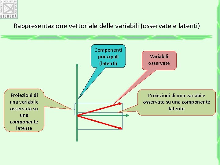 Rappresentazione vettoriale delle variabili (osservate e latenti) Componenti principali (latenti) Proiezioni di una variabile