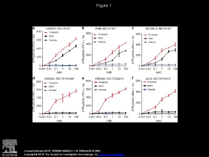 Figure 1 J Invest Dermatol 2015 1353086 -3095 DOI: (10. 1038/jid. 2015. 280) Copyright