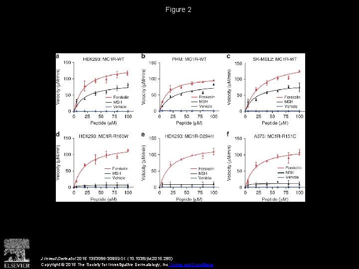 Figure 2 J Invest Dermatol 2015 1353086 -3095 DOI: (10. 1038/jid. 2015. 280) Copyright