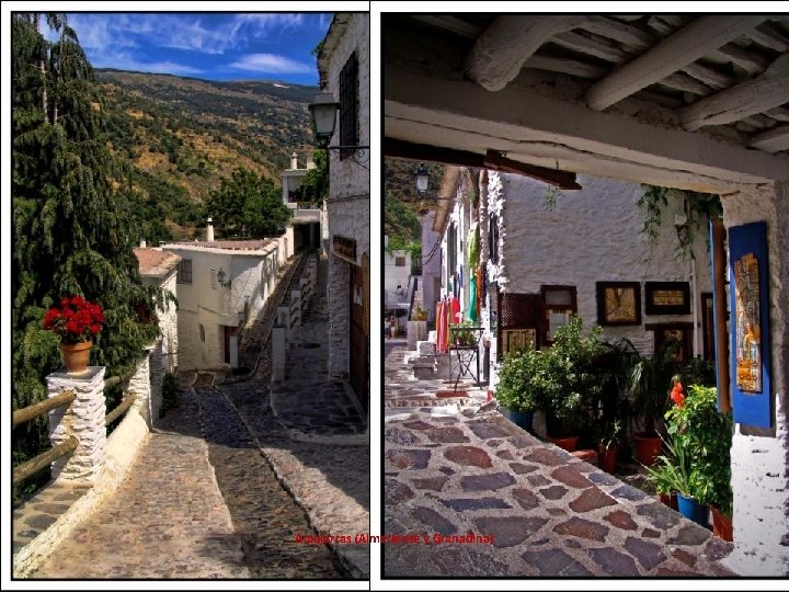 Alpujarras (Almeríense y Granadina) 