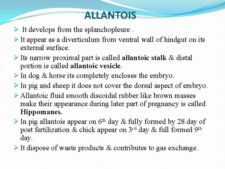 ALLANTOIS Ø It develops from the splanchopleure. Ø It appear as a diverticulum from