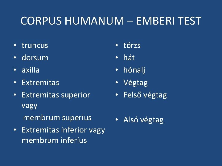 CORPUS HUMANUM – EMBERI TEST truncus dorsum axilla Extremitas superior vagy membrum superius •