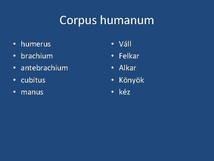 Corpus humanum • • • humerus brachium antebrachium cubitus manus • • • Váll