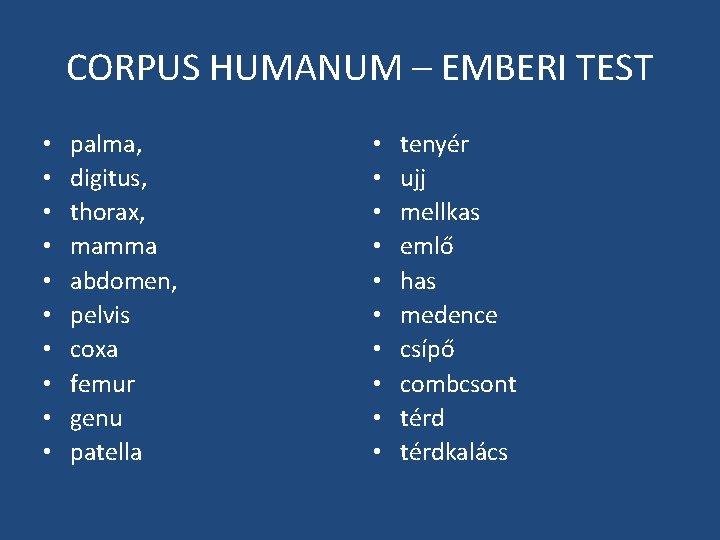 CORPUS HUMANUM – EMBERI TEST • • • palma, digitus, thorax, mamma abdomen, pelvis