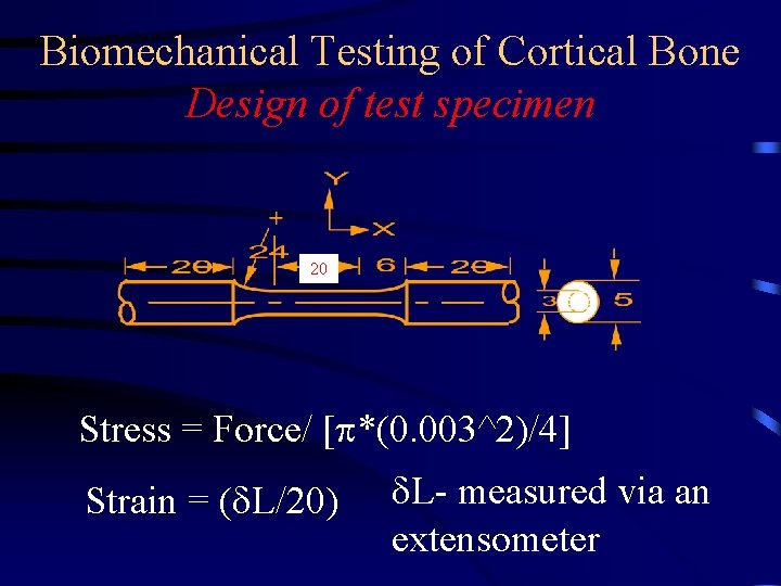 Biomechanical Testing of Cortical Bone Design of test specimen 20 Stress = Force/ [p*(0.