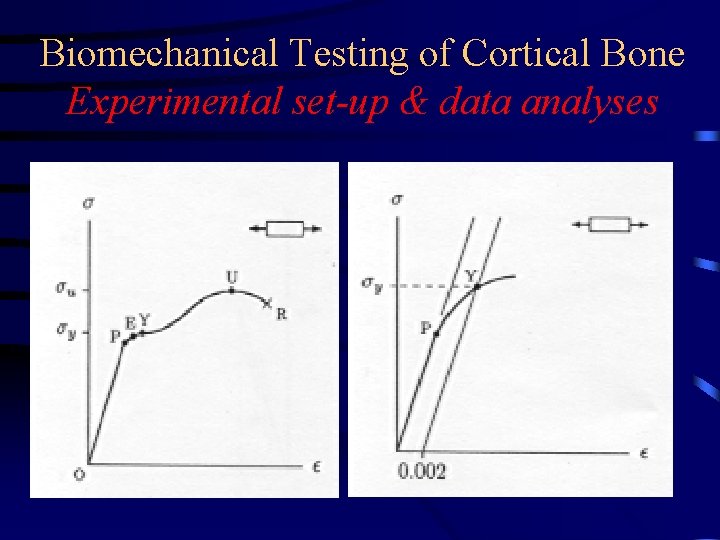 Biomechanical Testing of Cortical Bone Experimental set-up & data analyses 