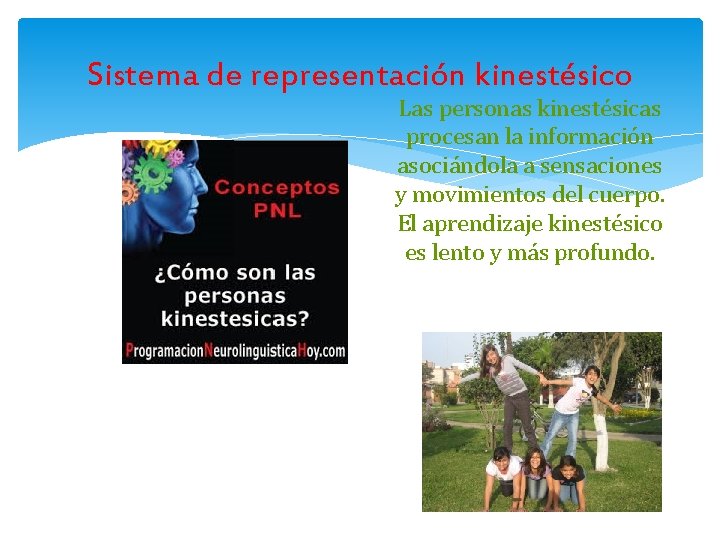 Sistema de representación kinestésico Las personas kinestésicas procesan la información asociándola a sensaciones y