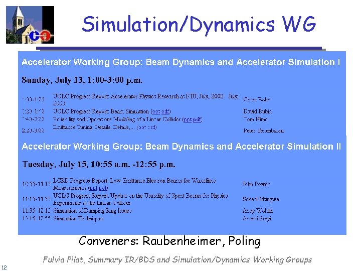 Simulation/Dynamics WG Conveners: Raubenheimer, Poling 12 Fulvia Pilat, Summary IR/BDS and Simulation/Dynamics Working Groups