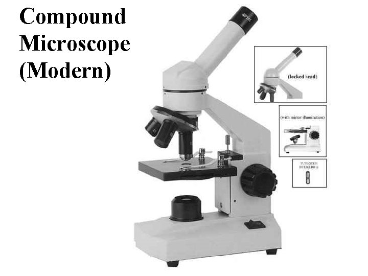 Compound Microscope (Modern) 