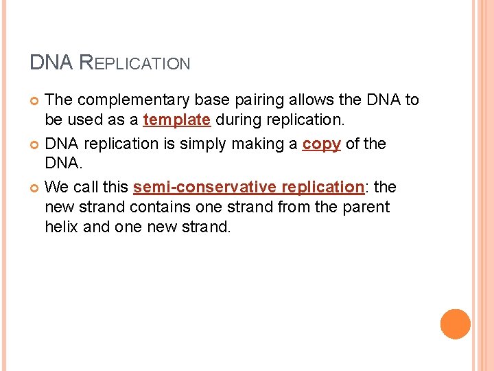 DNA REPLICATION The complementary base pairing allows the DNA to be used as a
