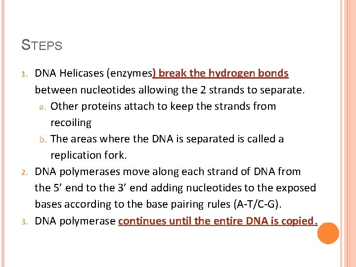 STEPS 1. 2. 3. DNA Helicases (enzymes) break the hydrogen bonds between nucleotides allowing