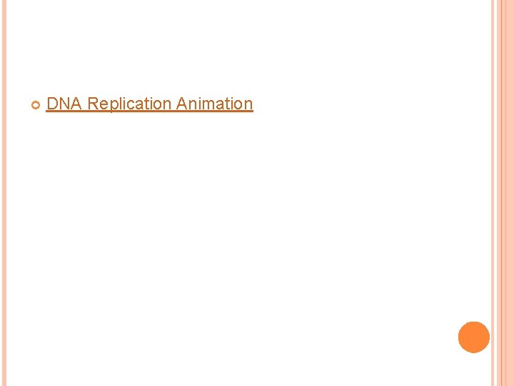  DNA Replication Animation 