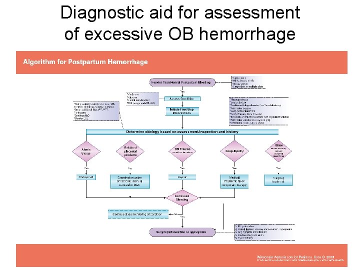 Diagnostic aid for assessment of excessive OB hemorrhage 