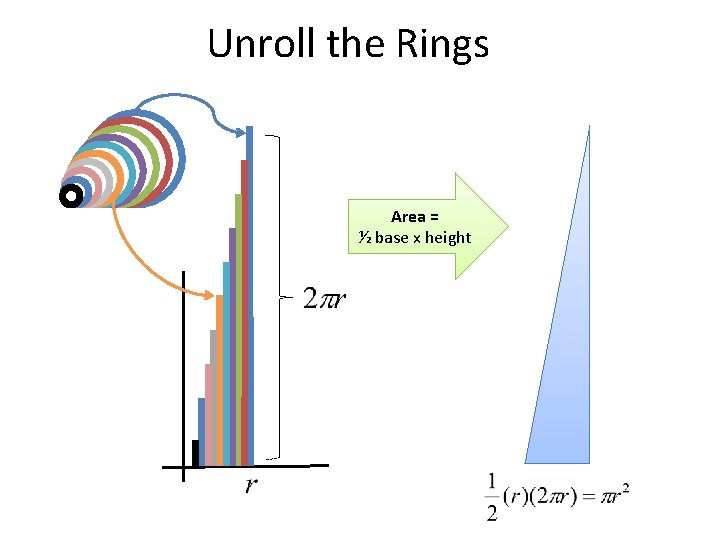 Unroll the Rings Area = ½ base x height 