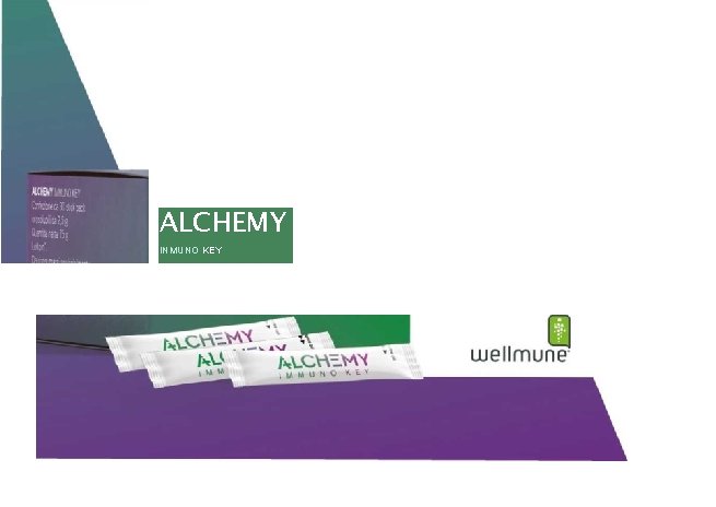ALCHEMY INMUNO KEY ALCHEMY INMUNO KEY