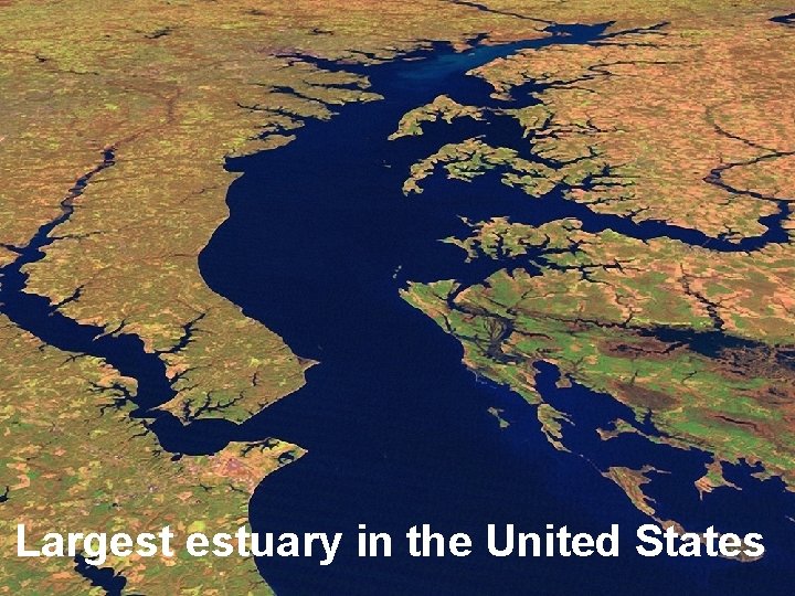 Largest estuary in the United States 