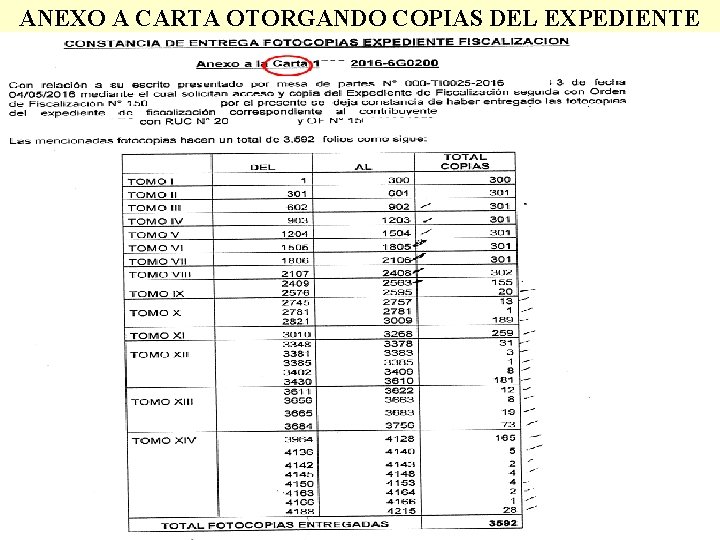 ANEXO A CARTA OTORGANDO COPIAS DEL EXPEDIENTE 10 