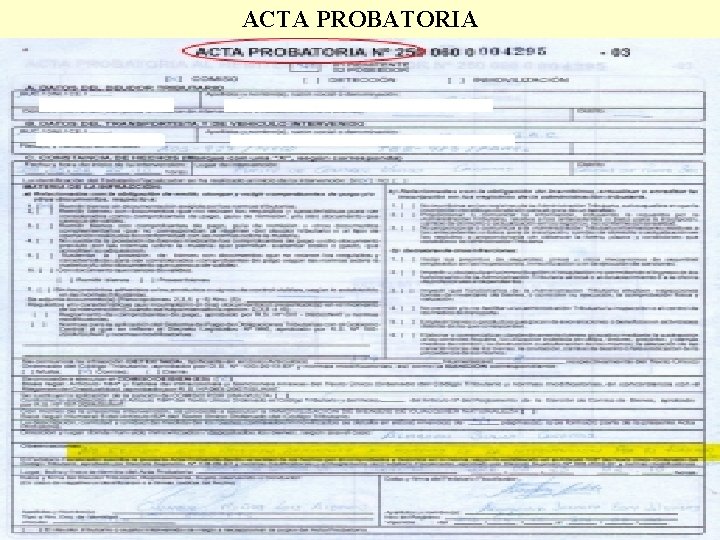 ACTA PROBATORIA 22 