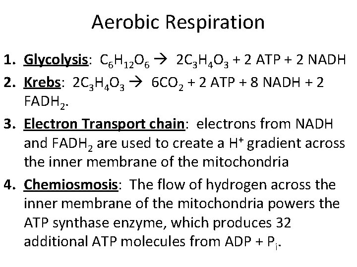 Aerobic Respiration 1. Glycolysis: C 6 H 12 O 6 2 C 3 H