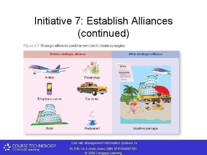 Initiative 7: Establish Alliances (continued) Use with Management Information Systems 1 e By Effy