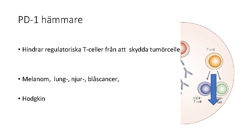 PD-1 hämmare • Hindrar regulatoriska T-celler från att skydda tumörceller • Melanom, lung-, njur-,