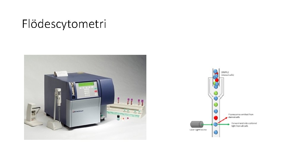 Flödescytometri 