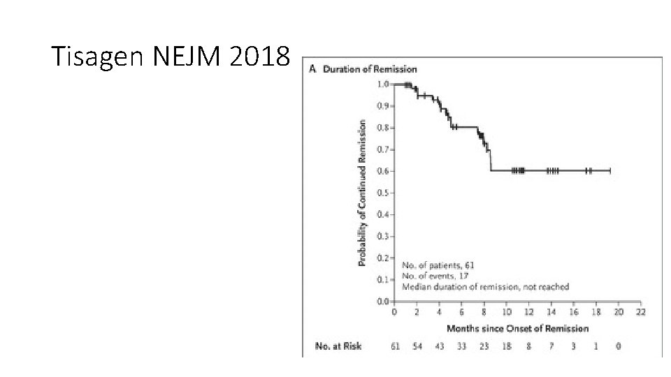 Tisagen NEJM 2018 