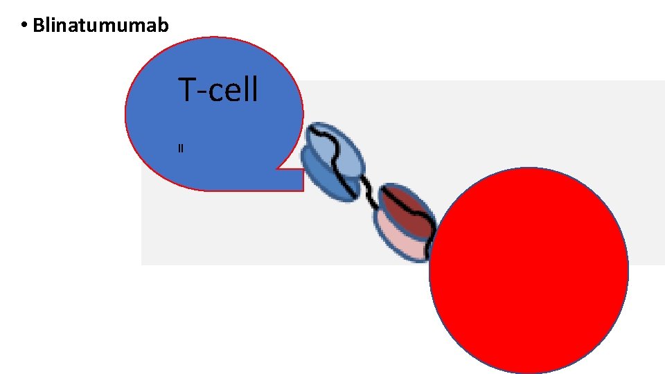  • Blinatumumab T-cell ll 