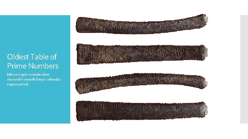 Oldest Table of Prime Numbers Microscopic examination showed 6 month lunar calendar represented. 