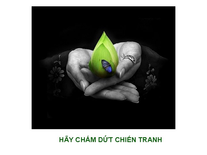 HÃY CHẤM DỨT CHIẾN TRANH 