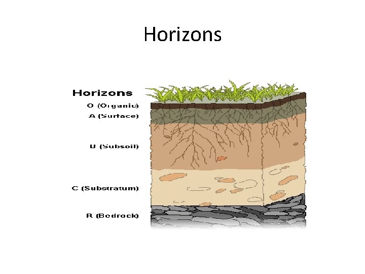 Horizons Horizons