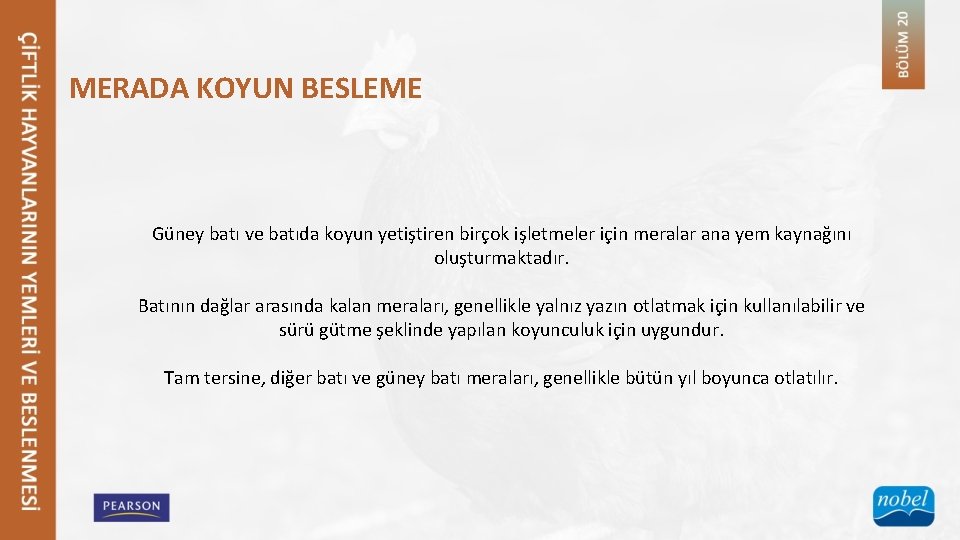 MERADA KOYUN BESLEME Güney batı ve batıda koyun yetiştiren birçok işletmeler için meralar ana