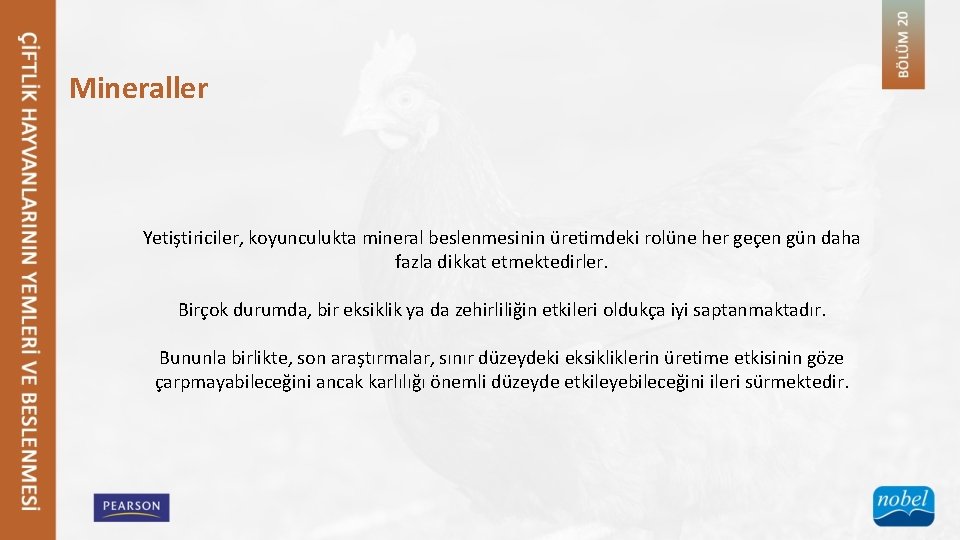 Mineraller Yetiştiriciler, koyunculukta mineral beslenmesinin üretimdeki rolüne her geçen gün daha fazla dikkat etmektedirler.