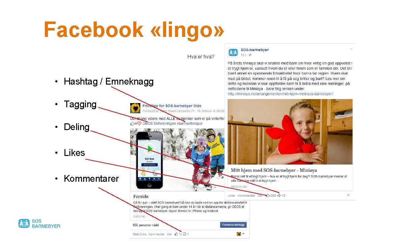 Facebook «lingo» Hva er hva? • Hashtag / Emneknagg • Tagging • Deling •