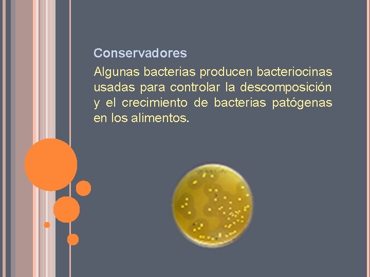 Conservadores Algunas bacterias producen bacteriocinas usadas para controlar la descomposición y el crecimiento de