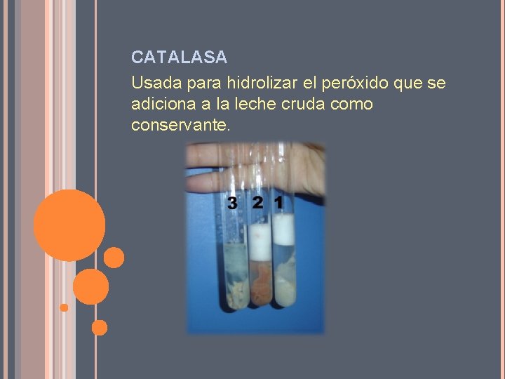 CATALASA Usada para hidrolizar el peróxido que se adiciona a la leche cruda como