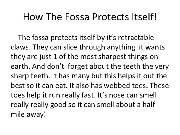 How The Fossa Protects Itself! The fossa protects itself by it’s retractable claws. They