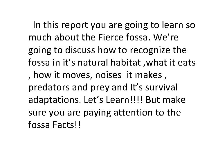In this report you are going to learn so much about the Fierce fossa.