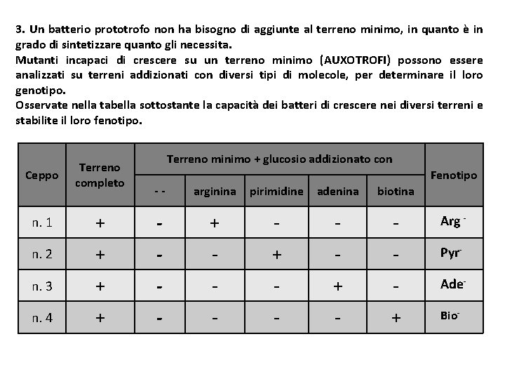 3. Un batterio prototrofo non ha bisogno di aggiunte al terreno minimo, in quanto