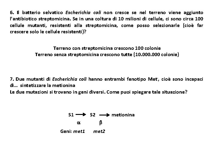 6. Il batterio selvatico Escherichia coli non cresce se nel terreno viene aggiunto l’antibiotico